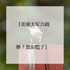 美亚太军力调整？盟友慌了